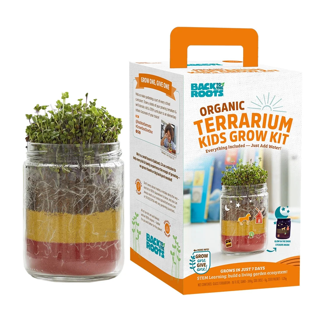 Kids Grow & Glow Terrarium Growing Kit with Glow-In-The-Dark Stickers (2 Count)