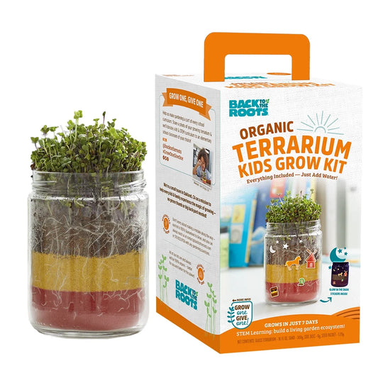 Kids Grow & Glow Terrarium Growing Kit with Glow-In-The-Dark Stickers (2 Count)