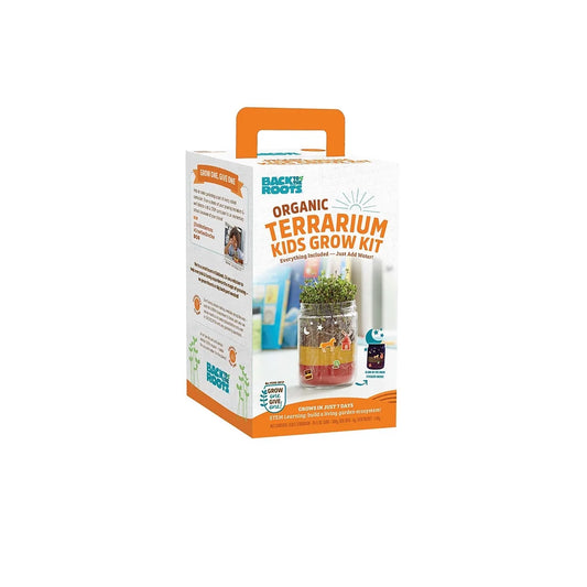 Kids Grow & Glow Terrarium Growing Kit with Glow-In-The-Dark Stickers (2 Count)