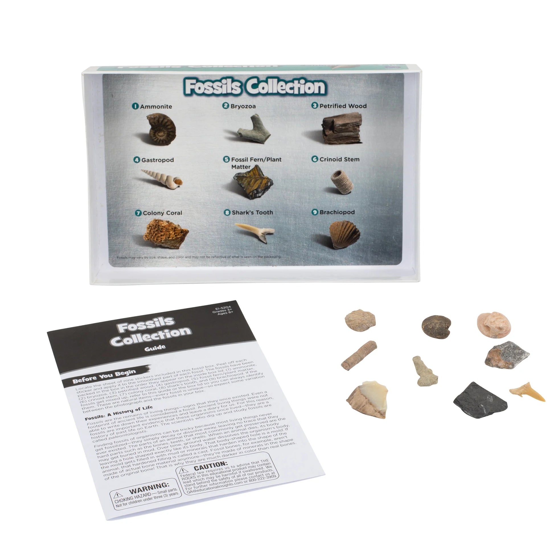 Complete Rock, Mineral, and Fossil Collection, STEM Kits for Kids
