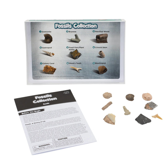 Complete Rock, Mineral, and Fossil Collection, STEM Kits for Kids